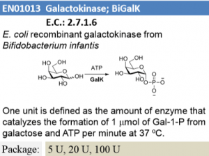 Galactokinase (BiGalK)