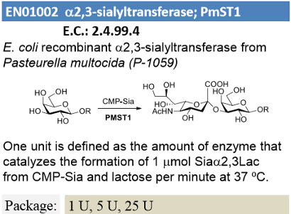 α-2,3-sialyltransferase; PmST1
