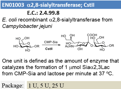 α-2,3/8-sialyltransferase; CstII