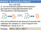 PNGase F (50U)