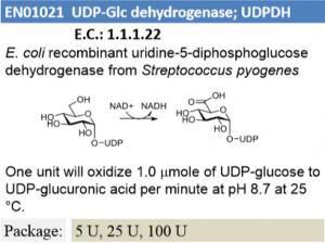 UDP-Glc Dehydrogenase (5U)
