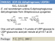 UDP-Glc Dehydrogenase (5U)