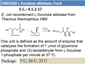 FucA (5U)