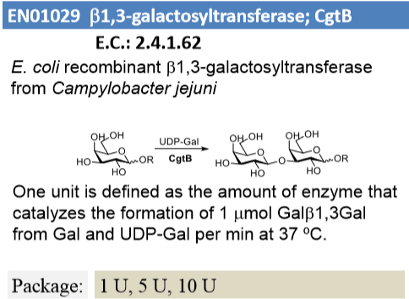 CgtB (1U)