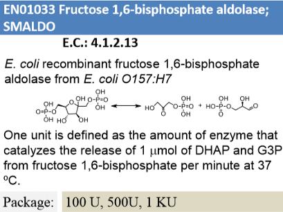 Fructose 1,6-bisphosphate aldolase (100U)