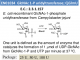 GlcNAc 1-P uridyltransferase (CjGlmU)