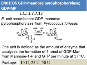 GDP-Mannose pyrophosphorylase (5U)