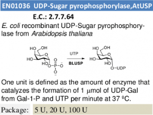 UDP-Sugar pyrophosphorylase (AtUSP)
