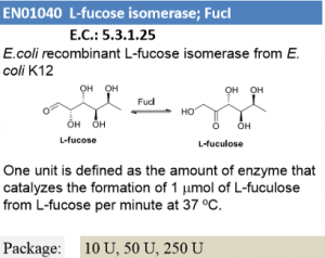 L-fucose isomerase ; Fucl