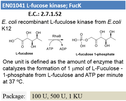 L-fuculose kinase ; FucK
