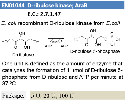 D-ribulose kinase ; AraB