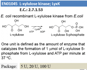 L-xylulose kinase ; LyxK