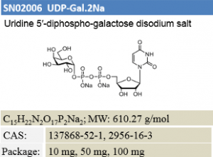 UDP-Gal