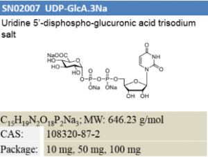 UDP-GlcA