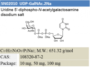 UDP-GalNAc