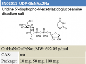 UDP-GlcNAz