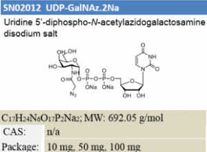 UDP-GalNAz